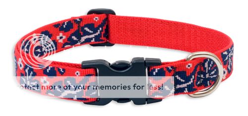 If you would like to purchase matching collar or harness, ask for the 