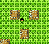 [PokeCommunity.com] Pokemon R