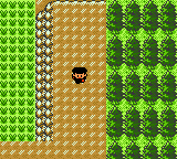 [PokeCommunity.com] Pokemon R