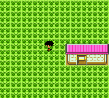 [PokeCommunity.com] Pokemon R