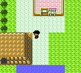 [PokeCommunity.com] Pokemon R
