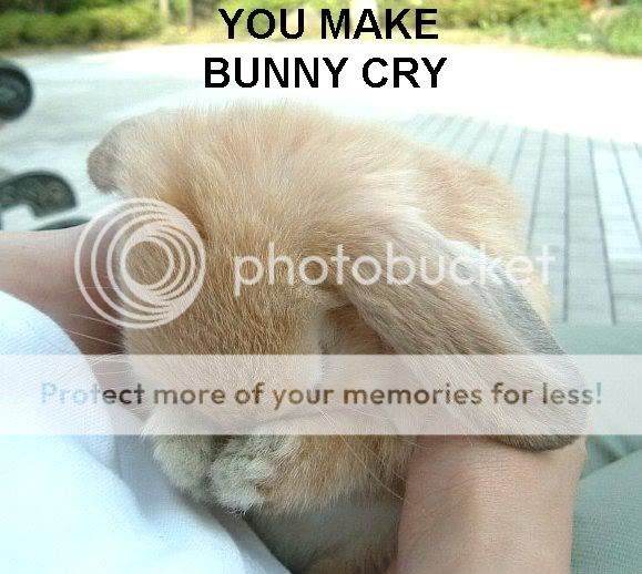 https://i70.photobucket.com/albums/i112/ia_mr_casual/bunnycry.jpg
