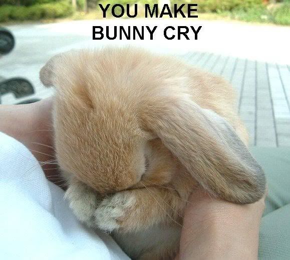 https://i70.photobucket.com/albums/i112/ia_mr_casual/bunnycry.jpg