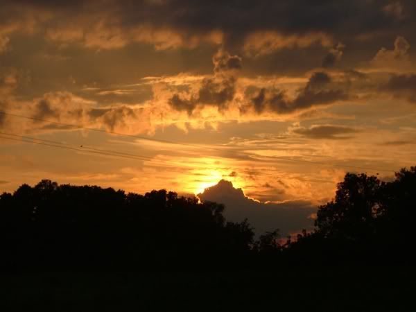 https://i70.photobucket.com/albums/i112/myyjaa/62474db7.jpg