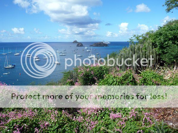007 St Barts anchoragge photo m_016 11 13 15 Butterflies and Anchorage Gustavia_zpsfhjka4vs.jpg