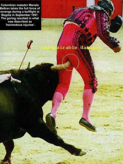 https://i70.photobucket.com/albums/i85/BF2APortillo/pic3239.jpg