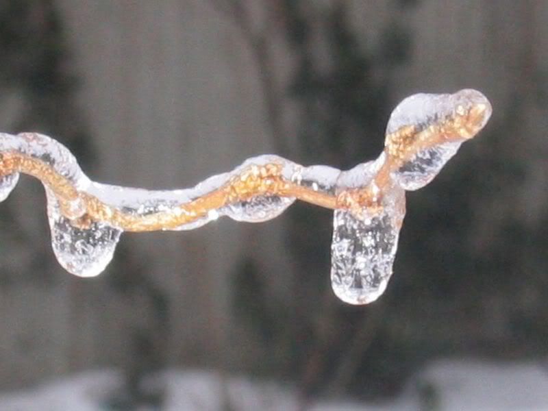 tn_3-17-07-Frozen003.jpg