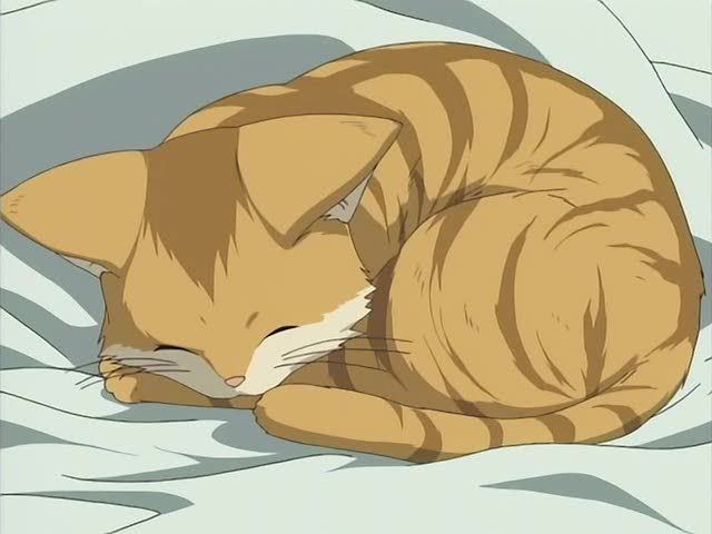 [PokeCommunity.com] The Cat Club