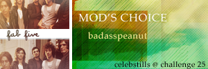 ModsChoiceChallenge25.png