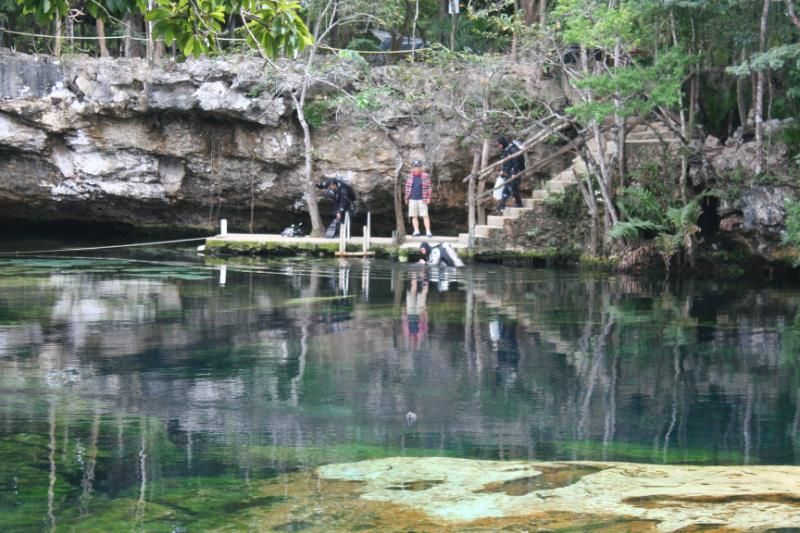 Brackish Tank | MonsterFishKeepers.com